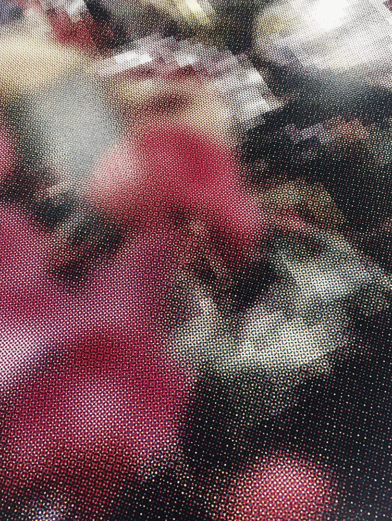 Mark Dustin - Detail of four colour screen print